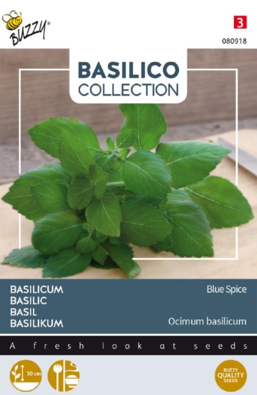 Basilicum Blue Spice (Ocimum americanum) 300 zaden